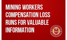 Mining Workers' Compensation Loss Runs for Valuable Information