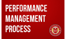 Performance Management Process