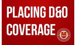 Placing D&O Coverage: Today's Critical Considerations for Every Broker