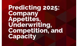 Predicting 2025: Company Appetites, Underwriting, Competition, and Capacity