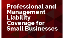 Professional and Management Liability Coverage for Small Business