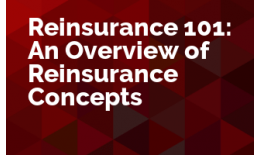 Reinsurance 101: An Overview of Reinsurance Concepts