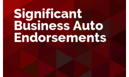 Significant Business Auto Endorsements