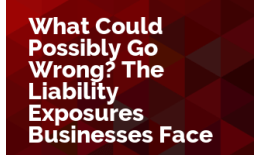 What Could Possibly Go Wrong? The Liability Exposures Businesses Face