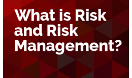 What is Risk and Risk Management