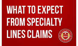 What to Expect from Specialty Lines Claims