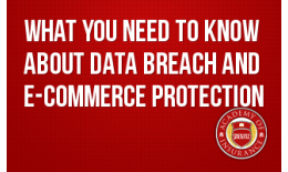 What You Need to Know about Data Breach and E-Commerce Protection