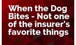 When the Dog Bites - Not one of the insurer's favorite things