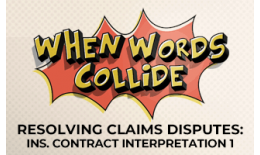 Insurance Contract Interpretation 