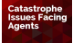 Catastrophe Issues Facing Agencies