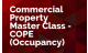 Commercial Property Master Class - COPE - (Occupancy)